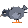 Tired pigeon