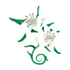 Lily flower tattoo gift idea