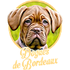 Dogue de Bordeaux