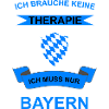 Bayern Flagge Bundesland Bayrisch Spruch Wappen
