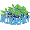 BLUEBERRY