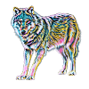 wolf