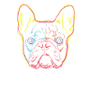 Colourful French Bulldog Dog Strokes
