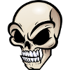 Rebel Skull with Functional Style