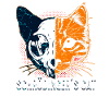Schrödinger's Cat