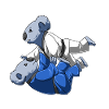 Roll Koala at the BJJ