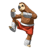Muay Thai and kickboxing sloth