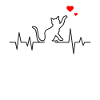 Cat heartbeat