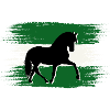 Andalusia Flag - Horse