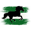 Andalusia Flag - Horse