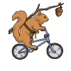 Funny squirrel chipmunk bike