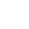 1Q84 Murakami
