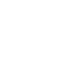 Rügen Möwe