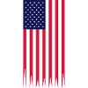 usa used vertical