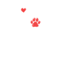 Boxer dog