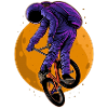 BMX / bmx / bmx / bike / gift / boys