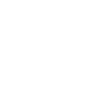 Seagull Moin