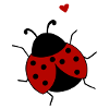 LUCKY BEETLE