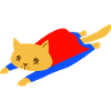 Superhero cat
