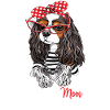 Cavalier King Charles Spaniel