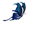 Butterfly, beautiful butterfly.