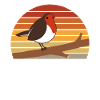 European robin bird birds gift
