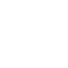 pilot