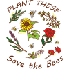 Flowers blossoms plants