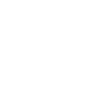Evolution Fliesenleger