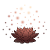 Lotus magic (pink)