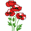 Mohnblumen