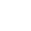 Cairn Terrier