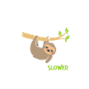 sloth