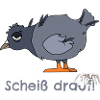 Taube scheiss drauf