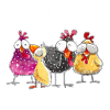 My crazy chickens