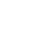 Palm tree palm