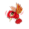 Cloudman bird