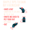 Rats
