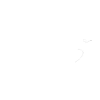 Turtle - respect nature - nature