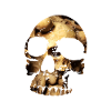 Skull Skulls 2