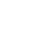 Labrador Hund
