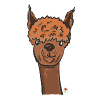 Alpaca head cartoon