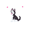 Huskies / Husky Lover