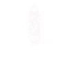 Surfing surfers Hawaii