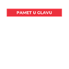 Pamet u glavu