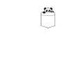 Pocket Panda t-shirt
