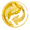 Yin Yang Golden Koi