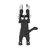 Mignon, chat noir, tient