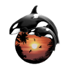 Orca Killerwal Palmenstrand