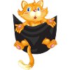 Cat cat in the pocket